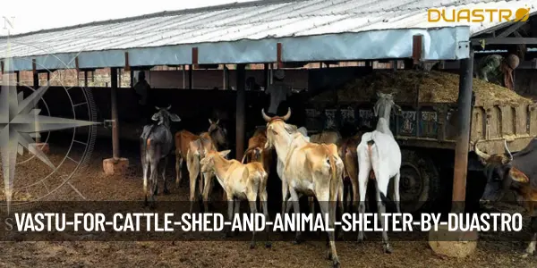 Vastu for Cattle Shed and Animal Shelter