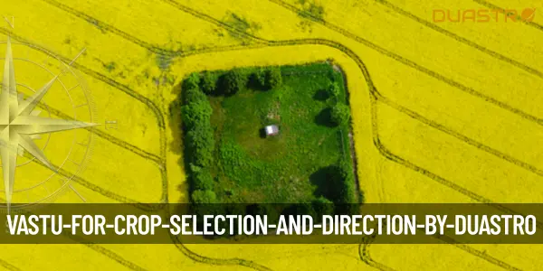 Vastu for Crop Selection and Direction