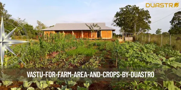 Vastu for Farm Area and Crops
