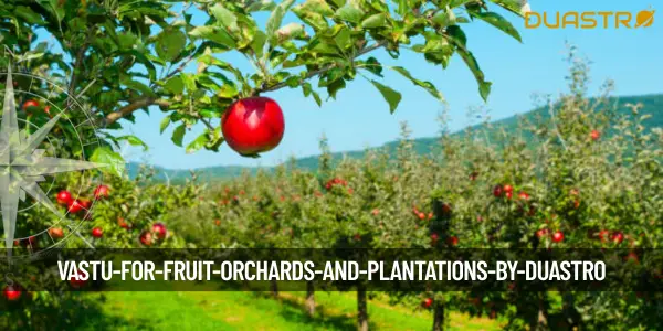 Vastu for Fruit Orchards and Plantations