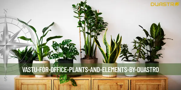 Vastu for Office Plants and Elements