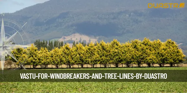 Vastu for Windbreakers and Tree Lines