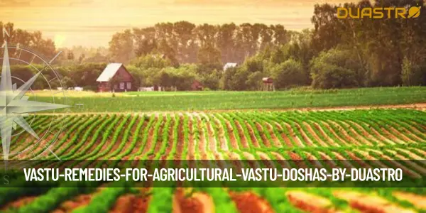 Vastu Remedies for Agricultural Vastu Doshas