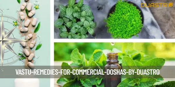 Vastu Remedies for Commercial Doshas